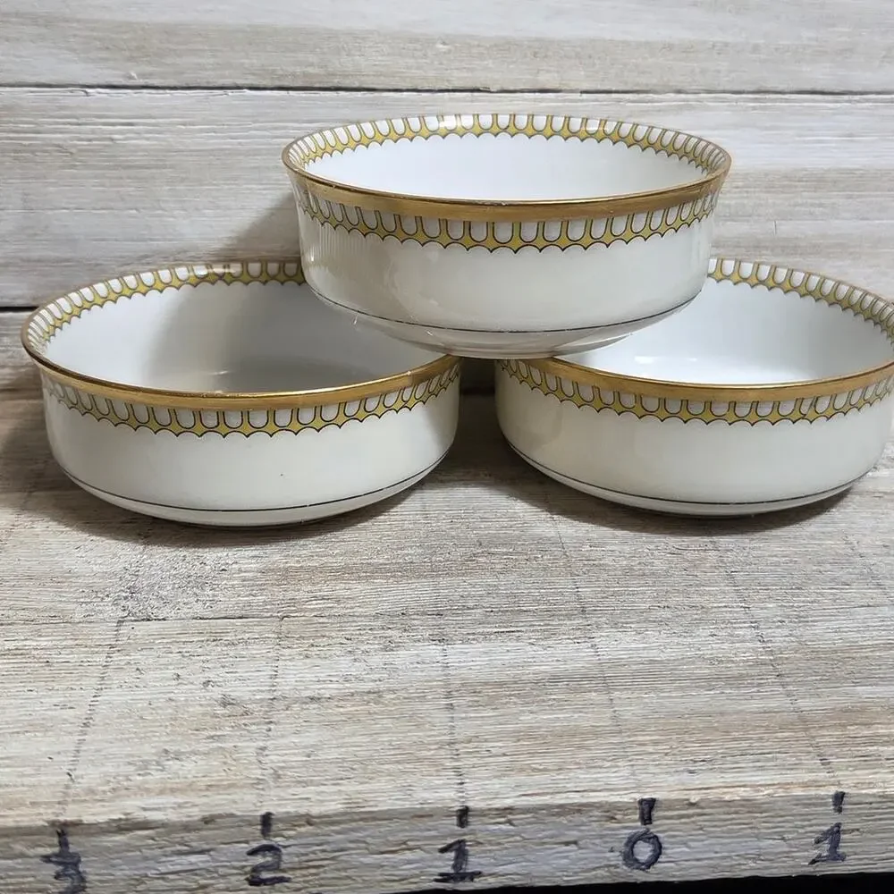 Antique Haviland Limoges Schleiger 278 Finger Bowls Underplates Set of 3/6 pcs